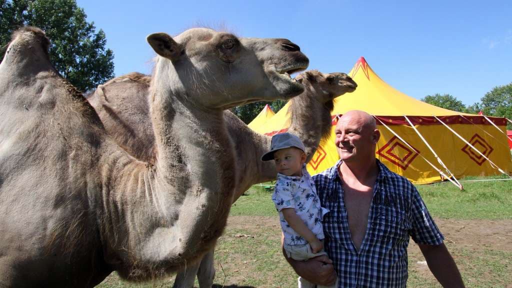 „Keine Einnahmen“ wegen Corona: Zirkus bangt um Existenz