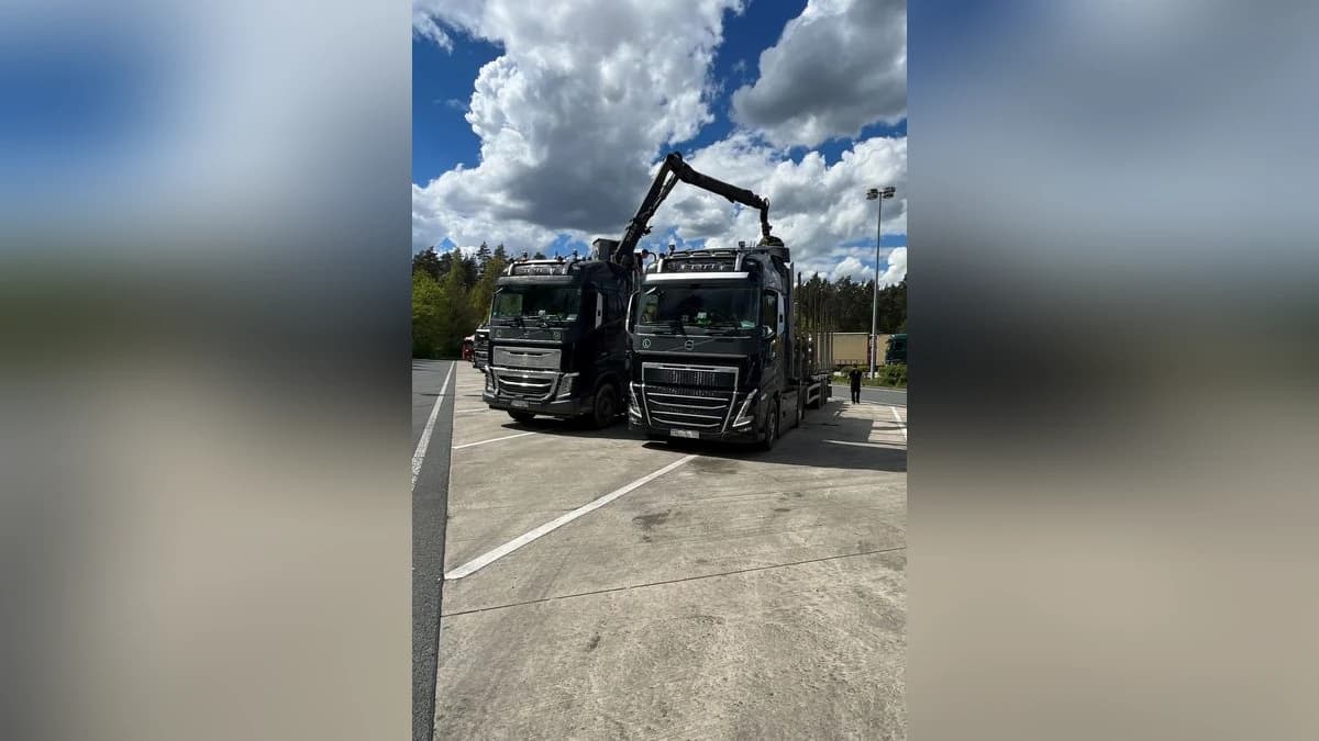 Polizei zieht zwei deutlich überladene Holzlaster auf der A9 aus dem Verkehr